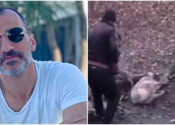 „დამიკავშირდნენ იტალიელი ცხოველთადამცველები, რომლებმაც მოგვაწოდეს იდეა, ამ ძაღლს დავარქვათ ანჯელო ჯორჯია და დავუდგათ მასაც ძეგლი“ – კაჭკაჭიშვილი მარნეულში მოკლულ ძაღლზე