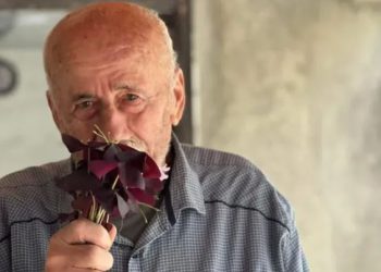 “ძალიან გთხოვთ, მიიტანოთ გულთან. დაიკარგა ბაბუაჩემი, სჭირს გაფანტული სკლეროზი” – სამტრედიაში 79 წლის მამაკაცს ეძებენ