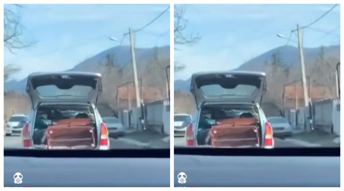 🎥”ბავშვი ზის ღია საბარგულში და ტახტი უჭირავს”– ვიდეო სოც. ქსელს იპყრობს