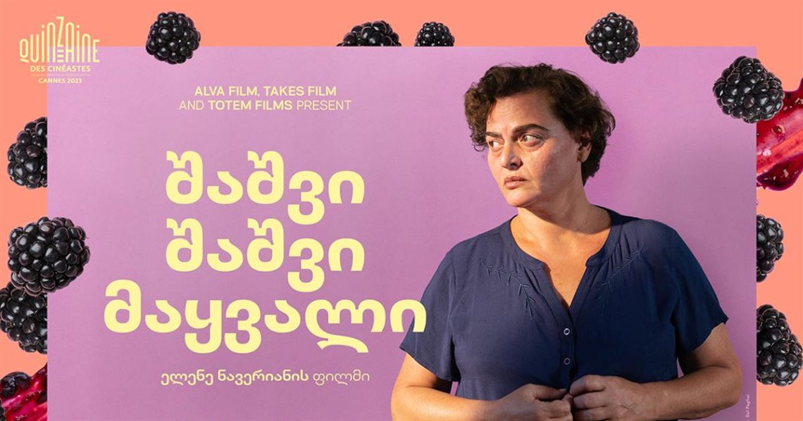 „შაშვი შაშვი მაყვალი” შვეიცარიის კინოდაჯიდლოების ნომინანტია