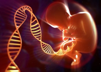 🎥რომელი მშობლისგან რა დაავადებები გადაეცემა ბავშვს მემკვიდრეობით – გენეტიკოსის განმარტება