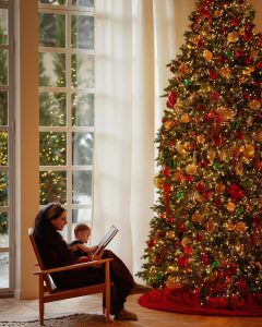 📷"ასხივებთ სიყვარულს და ბედნიერებას" - ნუცა ცისკარიშვილი საახალწლო ფოტოსესიიდან ახალ კადრებს აქვეყნებს