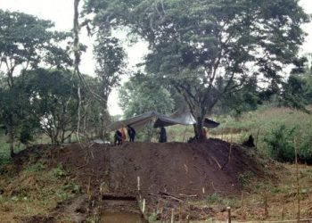 ამაზონის ჯუნგლებში დაკარგული ქალაქები აღმოაჩინეს