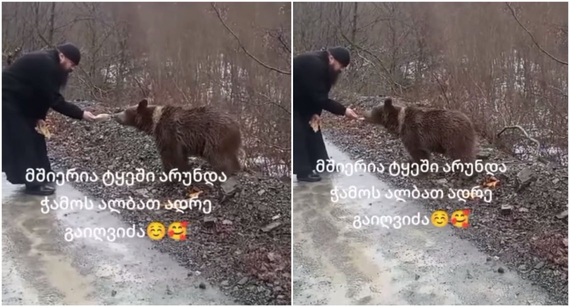 🎥”მშიერია,  ტყეში არ უნდა ჭამოს, ალბათ, ადრე გაიღვიძა” – სასულიერო პირმა დათვს საკუთარი ხელით  აჭამა