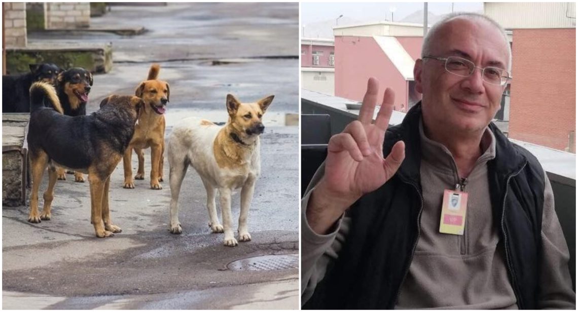 მიუსაფარი ცხოველების სიმრავლე და ამით გამოწვეული პრობლემები ეხება მთელს საზოგადოებას – ლაშა გეგეჭკორი