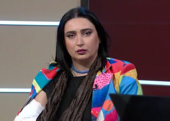 “სტალინს ტერიტორიები არ დაუკარგავს მიშასავით და, ჩვენში დარჩეს, დიქტატორსაც მიუჩინა ადგილი” – რას წერს ნათია ბერიძე