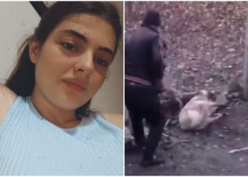 “ქართული ნაგაზი უძლიერესი ჯიშია,  მაგრამ ძაღლს არც დაუყეფია, მორჩილად მოაკვლევინა თავი” – ტასო ლოსაბერიძე ძაღლზე ძალადობაზე