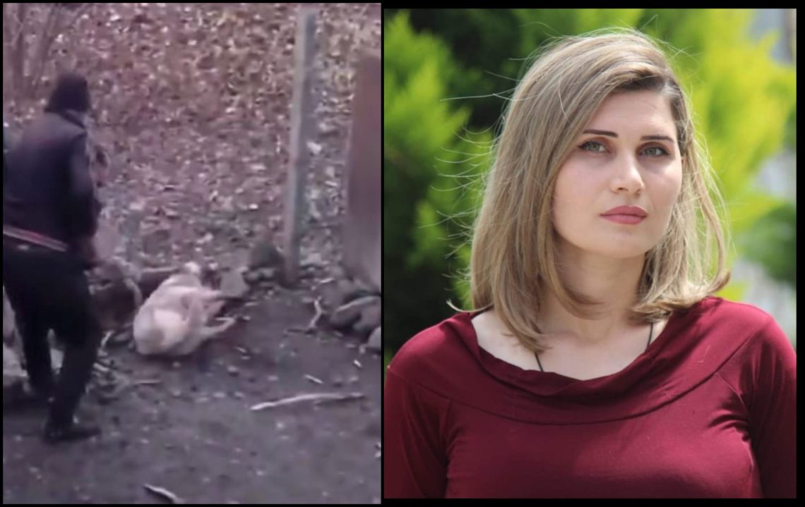 “13 წლის ბავშვს შესთავაზა თანხა ურთიერთობის სანაცვლოდ, ცდილობდა მოტაცებას“ – რას აცხადებს სამირა ბაირამოვა კაცზე, რომელიც ძაღლზე ძალადობისთვის დააკავეს