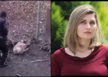 “13 წლის ბავშვს შესთავაზა თანხა ურთიერთობის სანაცვლოდ, ცდილობდა მოტაცებას“ – რას აცხადებს სამირა ბაირამოვა კაცზე, რომელიც ძაღლზე ძალადობისთვის დააკავეს