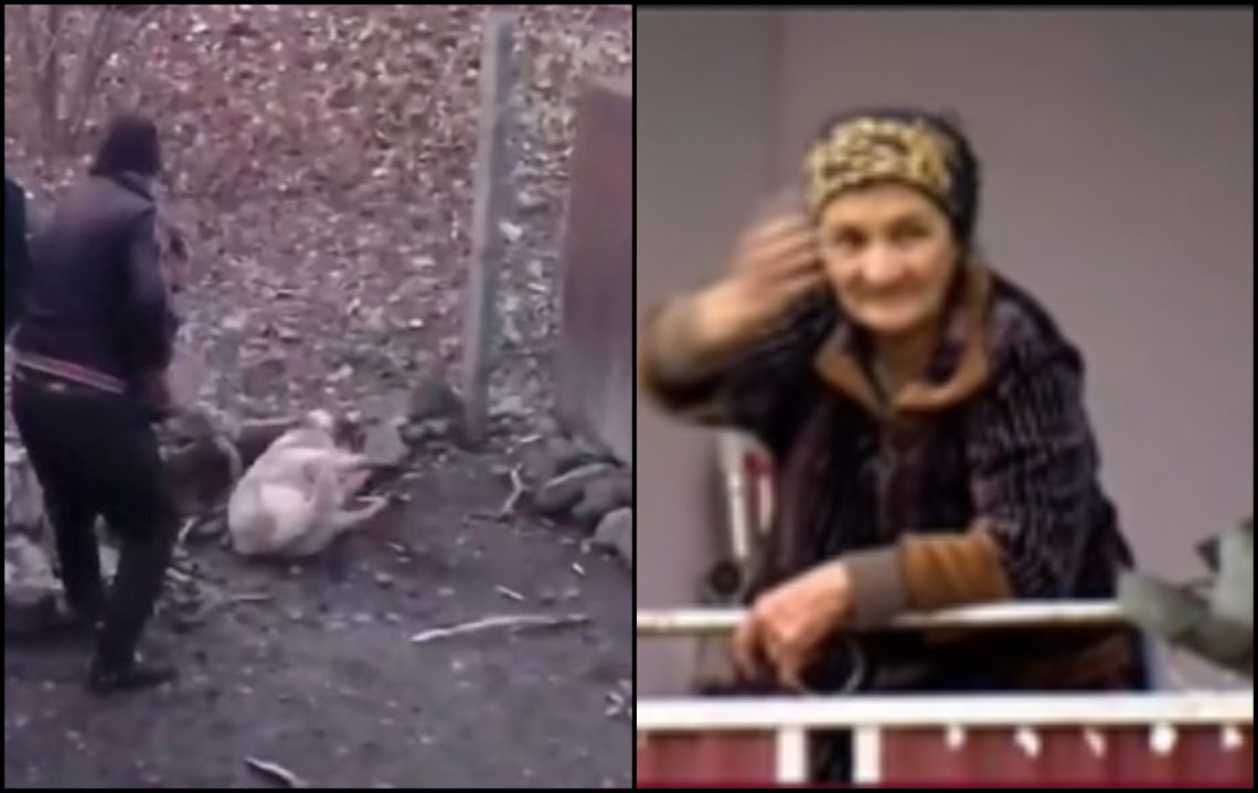 🎥 “მთელი ჩვენი ქათმები შეჭამა და ძროხაც დაკბინა…” – რას ამბობ ძაღლზე მოძალადე კაცის დედა