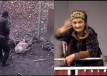 🎥 “მთელი ჩვენი ქათმები შეჭამა და ძროხაც დაკბინა…” – რას ამბობ ძაღლზე მოძალადე კაცის დედა