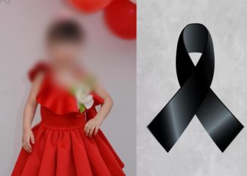 ცოტა ხნის წინ  მცირეწლოვანი ბავშვი ტრაგილუკად დაიღუპა