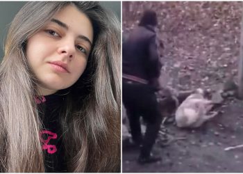 “ეს კაცი 14 წლის ბავშვის შევიწროებაში არის ბრალდებული” – რას წერს ტასო ლოსაბერიძე მამაკაცზე, რომელმაც ძაღლზე სასტიკად იძალადა