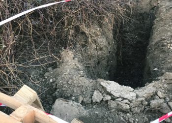 🎥ცნობილია ლილოში სასტიკად მოკლული 20 წლის გოგოს ვინაობა