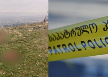 ეკოციდი თეთრიწყაროში – ვაშლოვანის ხევში ასობით დახოცილი ცხოველის ნარჩენები იპოვეს