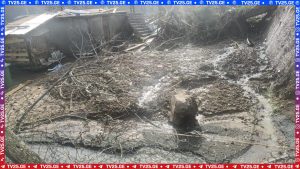 ๐ทแฅแแแแจแ แแแฌแงแแ แก แกแแแแ แแแแแแแชแแแ แแแกแฎแแแ แแแ - แจแแแแแ แแแ แแแแ แแแ แแแแแแแแแ