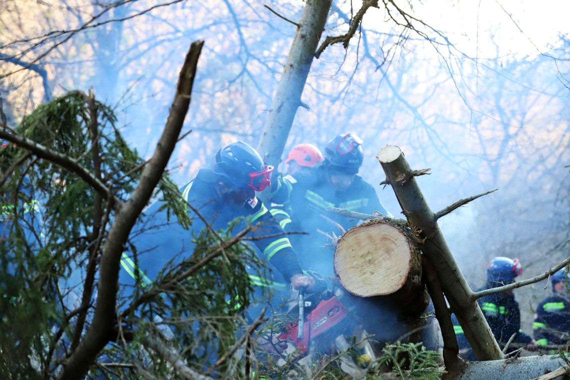 ხაშურის მუნიციპალიტეტის სოფელ ტაშისკართან, მთის ფერდობიდან ღელეს მიმართულებით, ჩამოიშალა მიწის მასა და ხეები