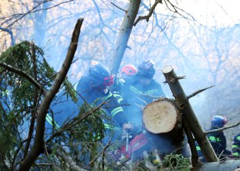 ხაშურის მუნიციპალიტეტის სოფელ ტაშისკართან, მთის ფერდობიდან ღელეს მიმართულებით, ჩამოიშალა მიწის მასა და ხეები