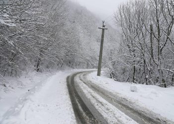 แแแแ แแแคแแ แแแชแแ แแซแฆแแแแแแกแแแแก โ แแแฎแแ, แ แ แฎแแแแ แแแแแแ