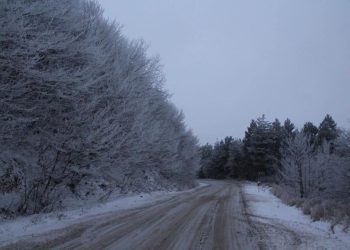 แแแแ แแแคแแ แแแชแแ แแซแฆแแแแแแกแแแแก โ แแแฎแแ, แ แ แฎแแแแ แแแแแแ