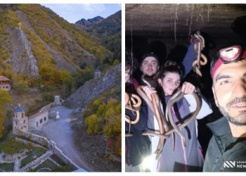 ფოტო: ქარელში, ერთ-ერთი სახლის სარდაფში 138 გველი აღმოაჩინეს – დაუჯერებელი ამბავი, რომელმაც საზოგადოება აღაშფოთა