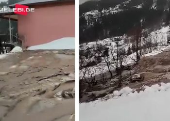 „ჩემი სახლი მეწყერს მიაქვს”– შუახევში მცხოვრები მამაკაცი დახმარებას ითხოვს