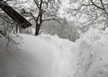 ხულოში, ზემო თხილვანაში ზვავმა სახლი წაიღო – არსებული ინფორმაციით, დაიღუპა ერთი ადამიანი