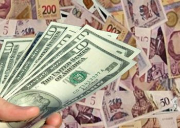 แ แ แแฆแแ แแแ แแแแแ แ แแ แแแ แ แแฆแแก โ แแฎแแแแ แแแแแฎแแแแฃแแ แแฃแ แกแ