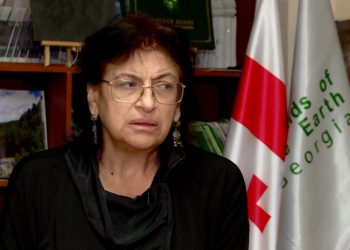 🎥”გააქტიურდება უფრო მეტი მეწყერი, რადგან…”– სპეციალისტი საგანგაშო პროგნოზს აკეთებს