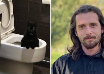 “ჩემს კატებს რომ აქვთ კულტურა, ადამიანს ვერ ასწავლი ზოგჯერ” – რას წერს დომენიკ მანგო