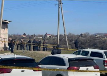 “მივიდა გადააბრუნა მამამისმა და ნახა თავის შვილი” – რას ჰყვება თვითმხილველი ლილოში მოკლულ 20 წლის გოგონაზე