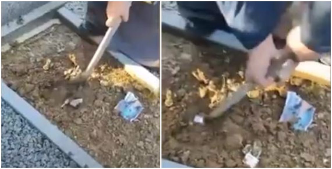 🎥ქუთაისში სამ სხვადასხვა საფლავში ჩამარხული ცოცხალი ადამიანების ფოტოები და ბოქლომები იპოვეს