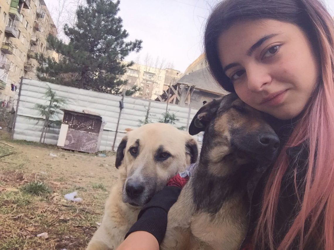 “3 ცხოველზე მეტის ყოლა არ ეკრძალება  იმ ადამიანს, ვინც ქუჩიდან ან  თავშესაფრიდან აიყვანს ცხოველს!“  – ტასო ლოსაბერიძე