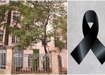 ვეკუას სკოლა სამწუხარო ინფორმაციას ავრცელებს