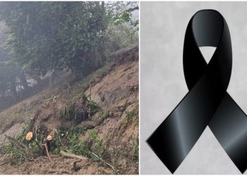 “სახლში შებრუნდა მობილურის ასაღებად” – ქედაში მომხდარი ტრაგედიის დეტალები