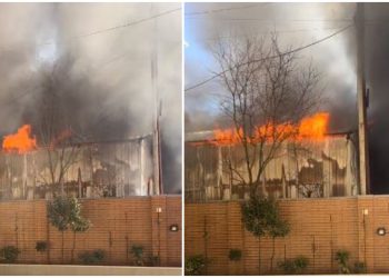 🎥 ამ წუთებში ხანძარს ვერ აქრობენ ბათუმში – მოსახლეობა ცეცხლს შიშველი ხელებით ებრძვის