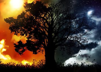 20 მარტს გაზაფხულის ბუნიობაა – რა უნდა გააკეთოთ ამ დღეს წარმატებისთვის