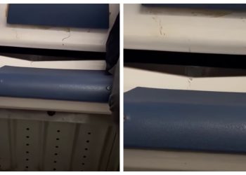 ๐ฅ แ แ แจแแแแกแแแแแแ แแแ แแแแ แแแ แแแแคแแฅแกแแ แแก แแแแแแกแแก แแแขแ แแจแ?