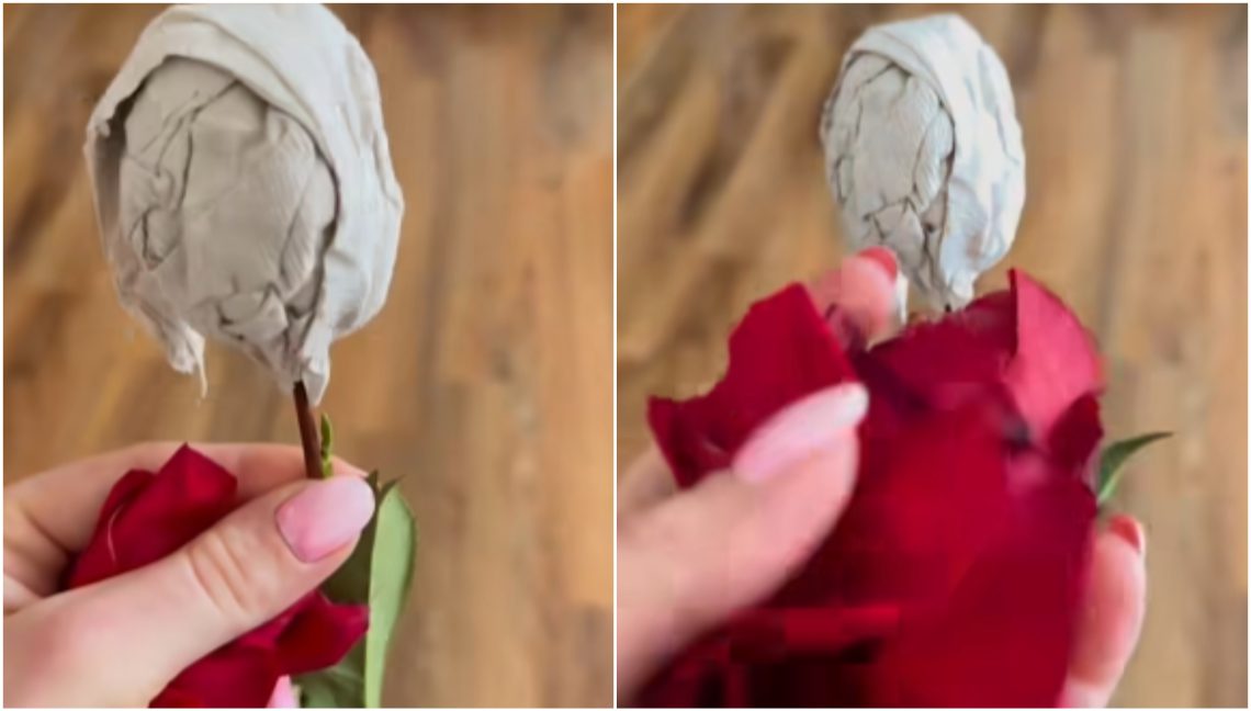 “ასეთი ყვავილი გინახავთ? ტუალეტის ქაღალდის გულით? მხოლოდ საქართველოში თუ იქნება” –  რა კადრებს ავრცელებენ დედები