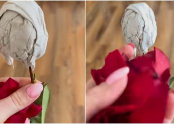 “ასეთი ყვავილი გინახავთ? ტუალეტის ქაღალდის გულით? მხოლოდ საქართველოში თუ იქნება” – რა კადრებს ავრცელებენ დედები