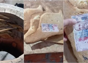 🎥 “შეჭამე შოთი და მოიგე 20 ლარი” – სალავაშის გათამაშება