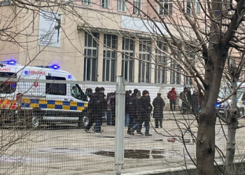 სკოლაში მოსწავლემ „წიწაკის სპრეი“ გაუშვა – მოსწავლეების ნაწილი საავადმყოფოშია გადაყვანილი