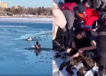 🎥”რა გულისამაჩუყებელია, ვიტირე… საგმირო საქმეა”– ნახეთ ვიდეო, რომელიც სოც. ქსელებს ვირუსულად მოედო