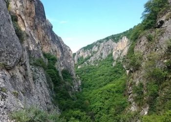 ჭიათურაში ხევში გადაჩეხილი მამაკაცის ცხედარი იპოვეს- რა მოხდა ნიგოზეთში