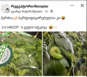 საგანგაშო კადრები მარკეტიდან - რა იპოვეს "ჰერბიას" მწვანილში?