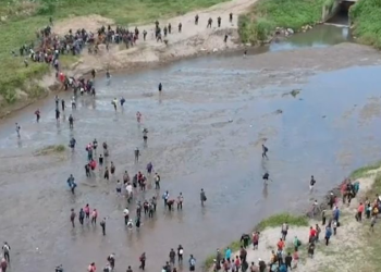 გატაცებულია 30-მდე ქართველი – “მექსიკის საზღვართან საშინელება ტრიალებს, ქართველებო”