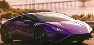 ილია თოფურიას მდიდრული ავტოპარკი- რა მანქანებს ფლობს ქართველი ჩემპიონი