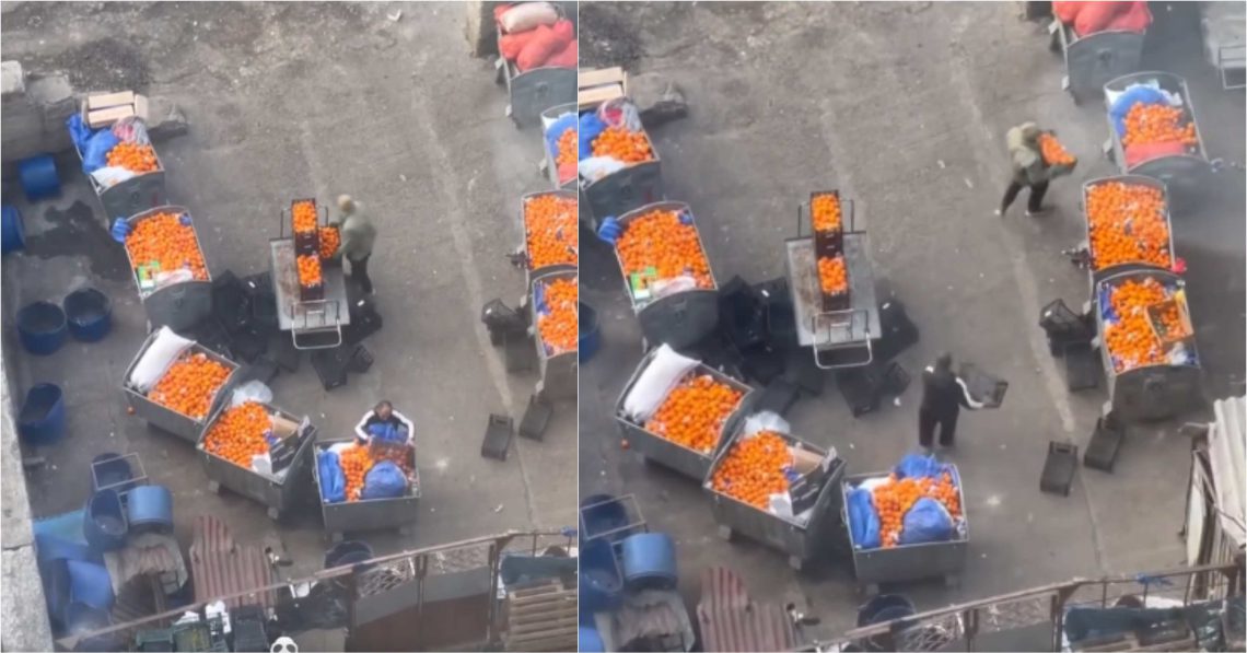 ,,ხალხის ნაშრომი ნაგავში იყრება… კაპიკია, შრომის ფასი”- რა კადრები ვრცელდება ნავთლუღის ბაზრობიდან