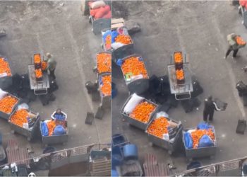 ,,ხალხის ნაშრომი ნაგავში იყრება… კაპიკია, შრომის ფასი”- რა კადრები ვრცელდება ნავთლუღის ბაზრობიდან