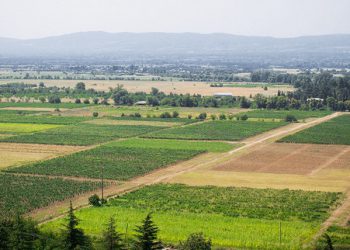 🎥”შეუძლია თუ არა უცხოელს საქართველოში შეიძინოს მიწა და რა უნდა იცოდეთ, სანამ მიწის მიყიდვას უცხოელზე გადაწყვეტთ” – იურისტის განმარტება